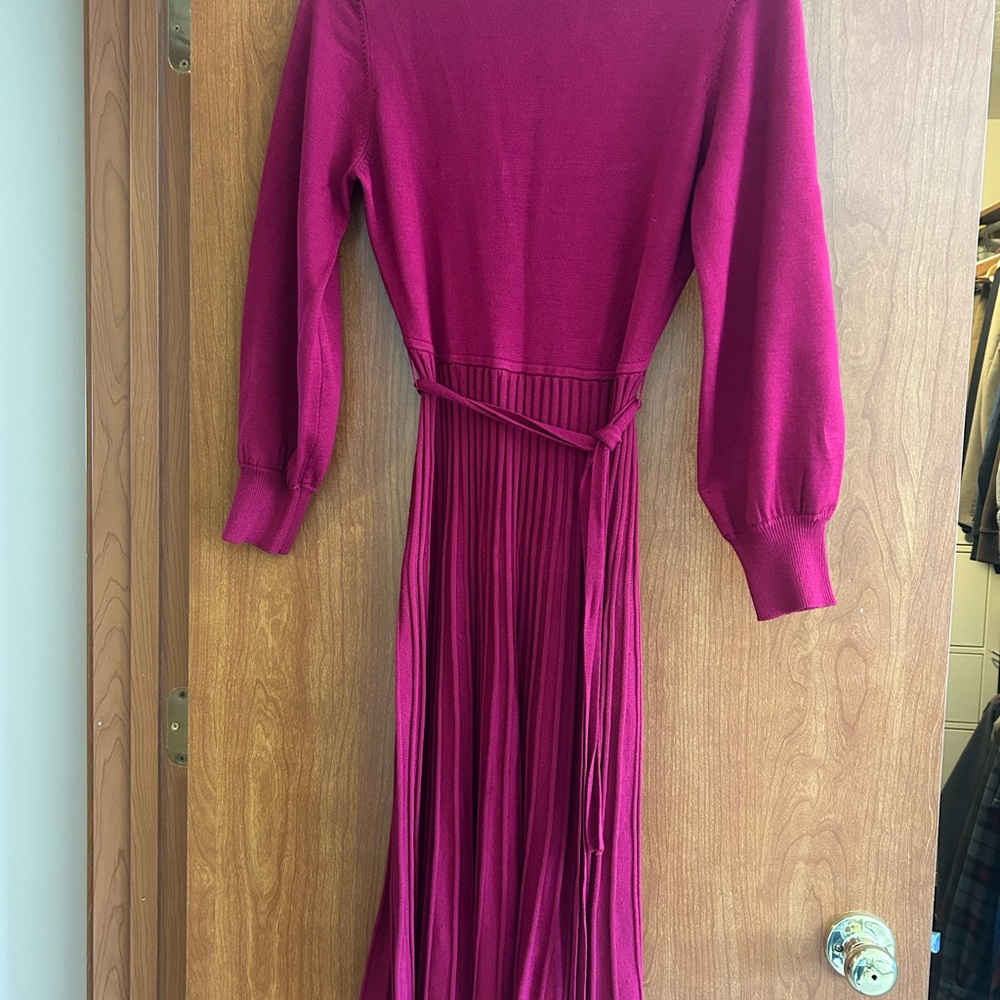 Elegant Berry Red Dress